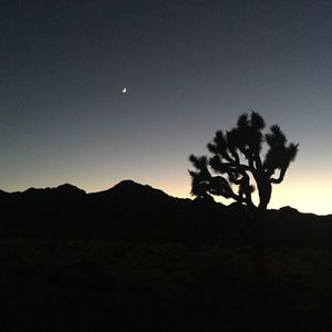 Meet your Posher, Yichun